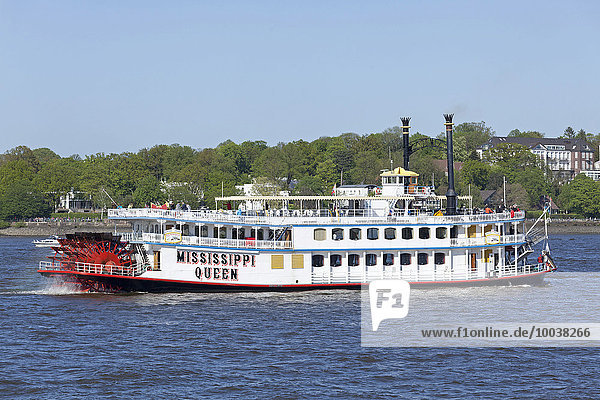 'Steamer ''Mississippi Queen''  826th Hamburg Harbour Anniversary  from Rüschpark  Finkenwerder  Hamburg  Germany  Europe'