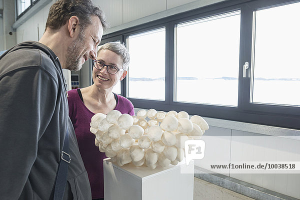 Couple looking at egg shell lampshade in an art museum,  Bavaria,  Germany