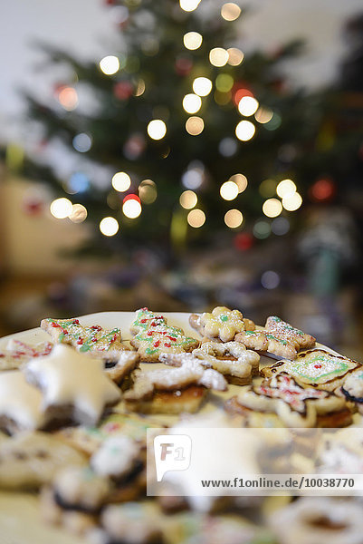 Close-up of gingerbread Christmas cookies in plate with Christmas tree in the background  Bavaria  Germany