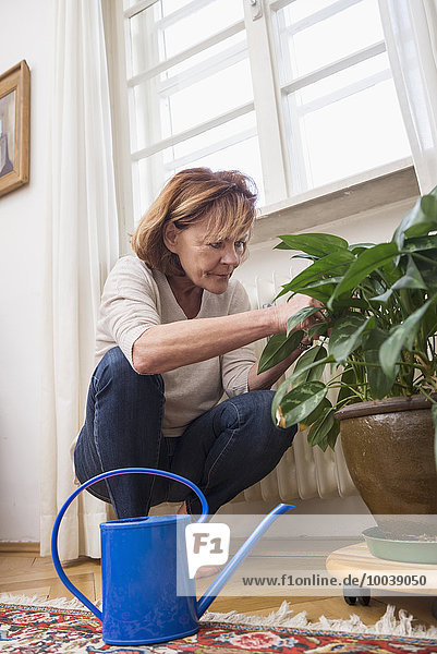 Senior woman looks at plant  watering can in the foreground  Munich  Bavaria  Germany