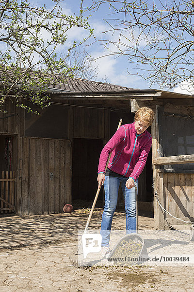Woman cleaning barn,  Bavaria,  Germany
