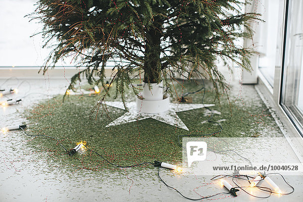 Christmas lights under Christmas tree