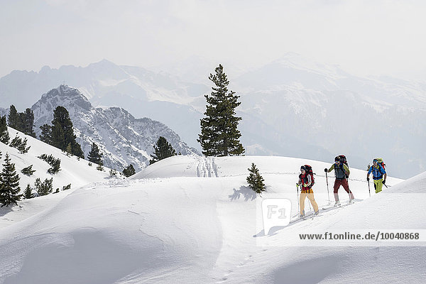 Ski mountaineers climbing on snowy mountain  Tyrol  Austria