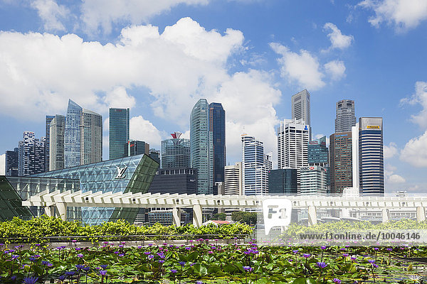 Republik Singapur  Singapur  Skyline des Marina Bay District mit Lilienteich im Vordergrund