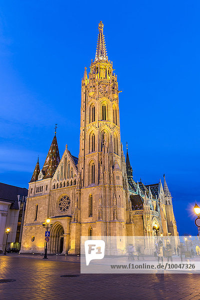 Ungarn  Budapest  Buda  Blick auf die Matthiaskirche  Blaue Stunde