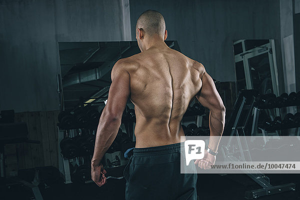 Rückenmuskulatur eines jungen Mannes im Fitnessstudio