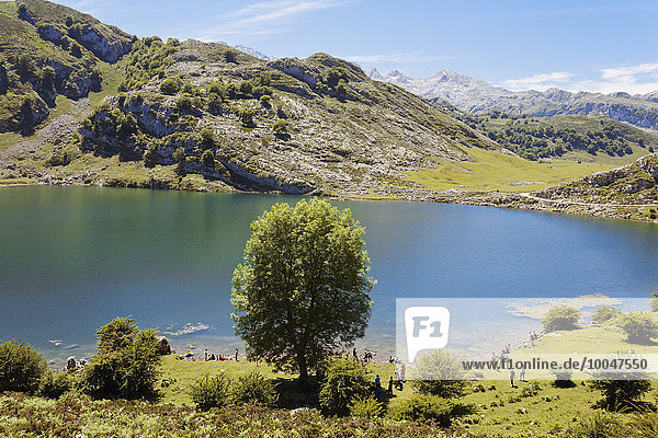 Spanien  Asturien  Lago Enol  Bergsee in der Umgebung von Picos de Europa