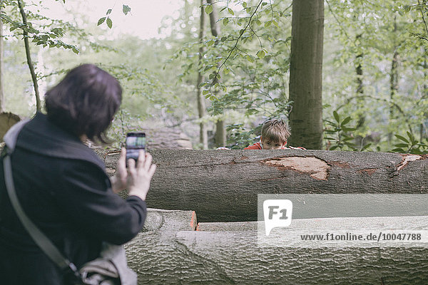 Deutschland,  Bielefeld,  Mutter beim Fotografieren des Jungen hinter dem Baumstamm im Wald