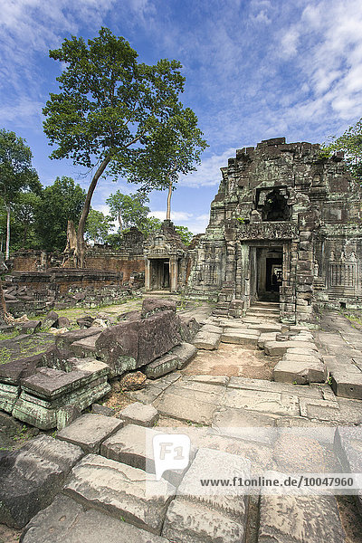 Kambodscha  Siem Reap  Angkor Wat
