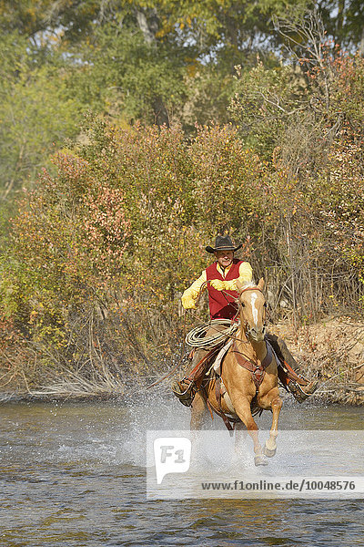 USA  Wyoming  Cowboy rides his horse across river