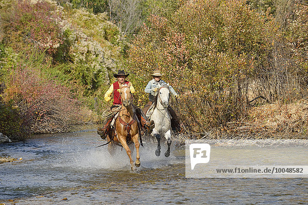 USA  Wyoming  Cowboy und Cowgirl reiten ihre Pferde über den Fluss.