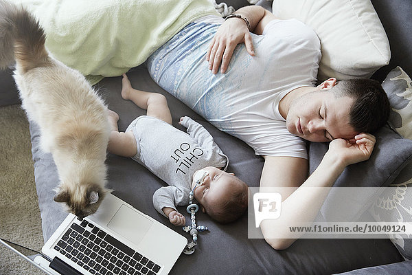 Junger Vater und Baby schlafen auf Couch mit Katze und Laptop