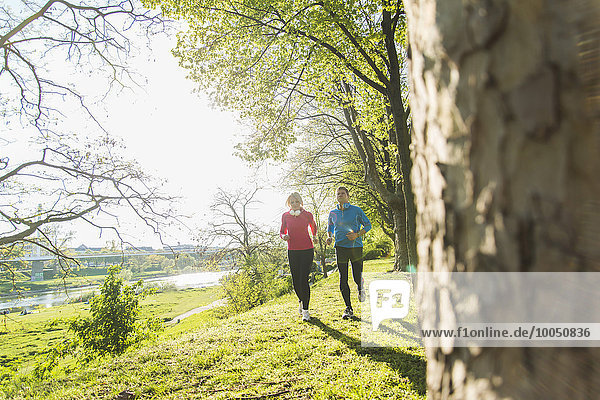 Germany  Mannheim  Mature couple jogging in park