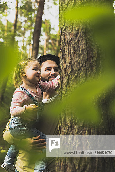 Mädchen mit Vater im Wald untersucht Baumstamm