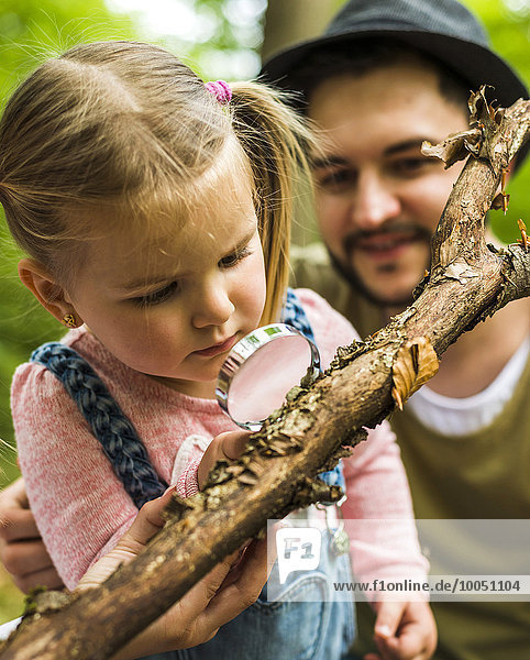 Mädchen mit Vater im Wald untersucht Zweig mit Lupe