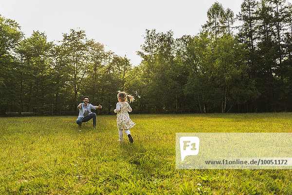 Girl running towards father on meadow