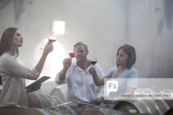 Drei Personen bei der Weinprobe im Keller
