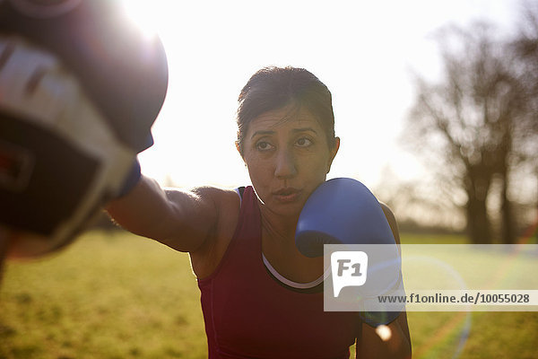 Mature female boxer training in field