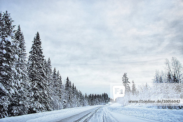 Blick auf schneebedeckte Bäume und Autobahn  Hemavan  Schweden