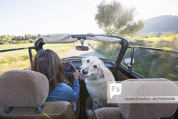 Reife Frau und Hund  im Cabriolet  Rückansicht