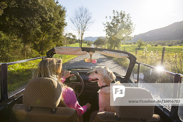 Mature woman and dog  in convertible car  rear view