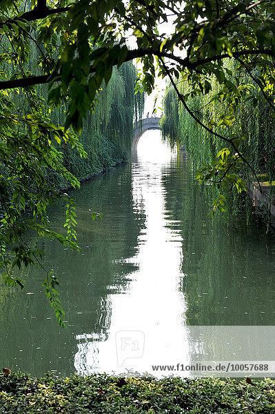 Chinesische Steinbrücke am Fluss  bedeckt mit grünen Bäumen  Hangzhou  China