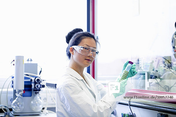 Porträt einer jungen Wissenschaftlerin beim Betrachten der Probe im Labor
