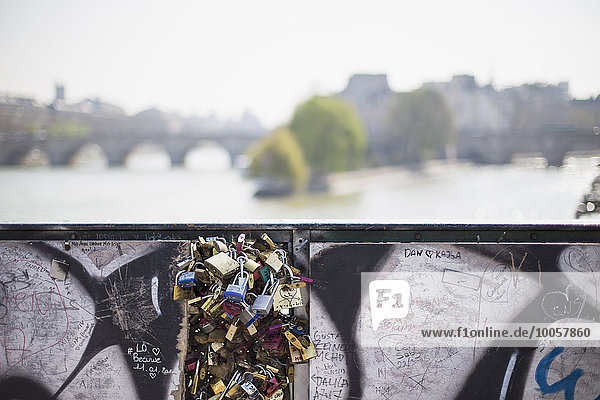 Love Locks  Pont Neuf  Pont des Arts  Paris  Frankreich