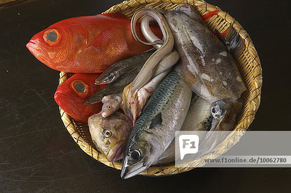 Selection of raw fresh fish in basket