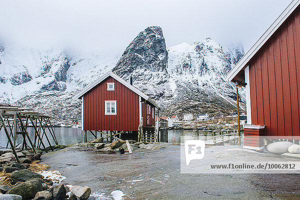 Fishing huts  Reine  Lofoten  Norway