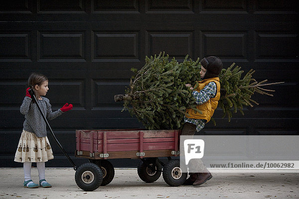 Ladewagen für Mädchen und Jungen mit Weihnachtsbaum