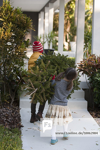 Girl and boy carrying christmas tree