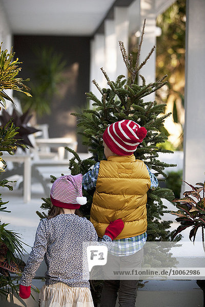 Mädchen und Junge mit Weihnachtsbaum