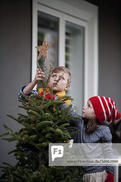 Porträt eines Jungen und Mädchens  das den Weihnachtsbaum mit Sternen verziert.