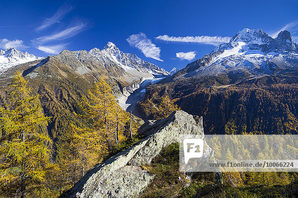 Herbstlicher Lärchenwald und Ausblick auf die Berge von Chamonix  Chamonix-Mont-Blanc  Rhône-Alpes  Frankreich  Europa