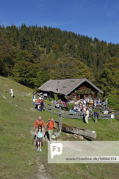 Wanderer auf der Mitterhütte an der Hochalm Isarwinkel Tölzer Land Oberbayern Bayern Deutschland Europa