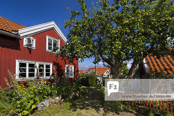 Haus auf der Insel Gullholmen  Orust  Provinz Västra Götaland  Bohuslän  Schweden  Europa