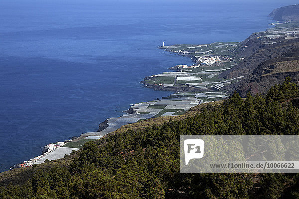 Ausblick auf Bananenplantagen und Puerto Naos  Westküste  La Palma  Kanarische Inseln  Spanien  Europa