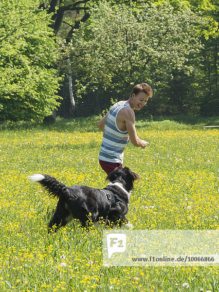 Young man playing frisbee with dog in meadow  Border Collie  Perlacher Forst  Munich  Bavaria  Germany  Europe
