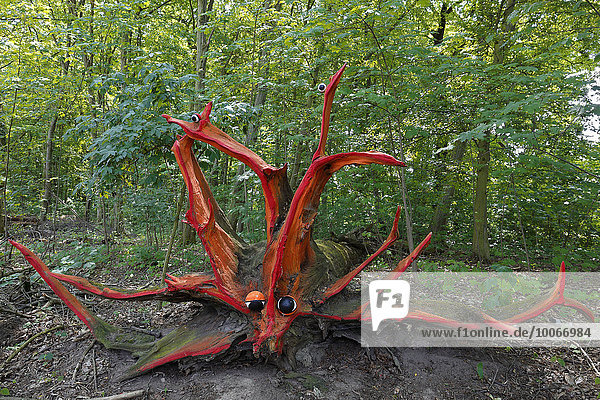 Holzkunst  bemalte Wurzelausläufer eines umgefallenen Baumes  Biosphärenreservat Mittlere Elbe  Dessau-Rosslau  Sachsen-Anhalt  Deutschland  Europa