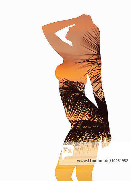 Palmenblatt Europäer Frau Sonnenuntergang Silhouette