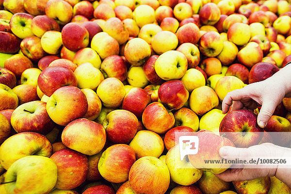 Close up of hands selecting apples in market