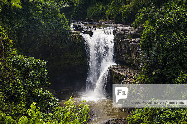 Felsen über Regenwald fließen Fluss Wasserfall Indonesien Ubud