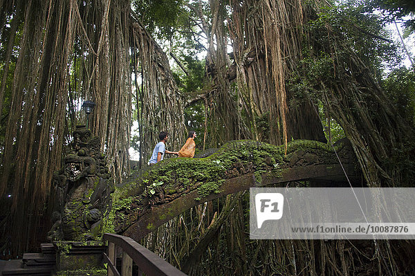 Regenwald Tourist Brücke klettern