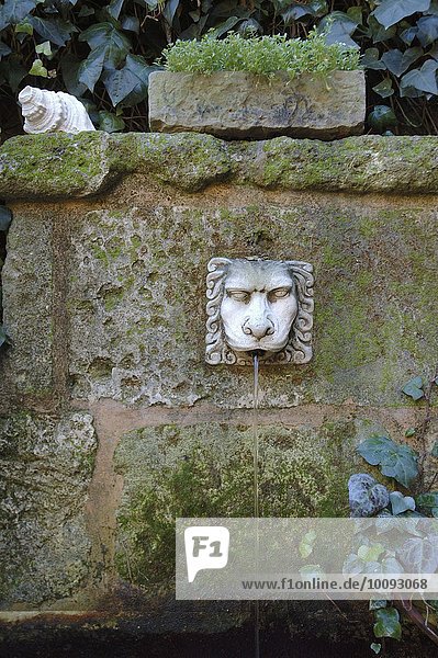 Mediterraner Brunnen