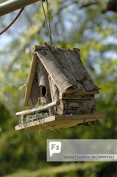 Ein Vogelhäuschen hängt an einem Baum Vogelhaus