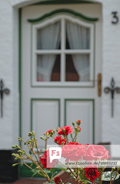 Wohnhaus Eingang frontal Rose