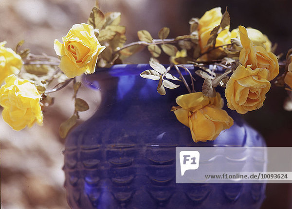 Blumenvase mit gelben Rosen