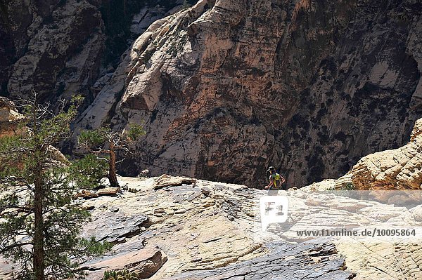Junge Wanderin auf Felsen  Mount Wilson  Nevada  USA