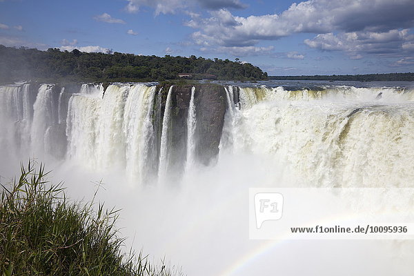 Iguacufälle  Nationalpark Iguazu  Argentinien  Südamerika  Amerika